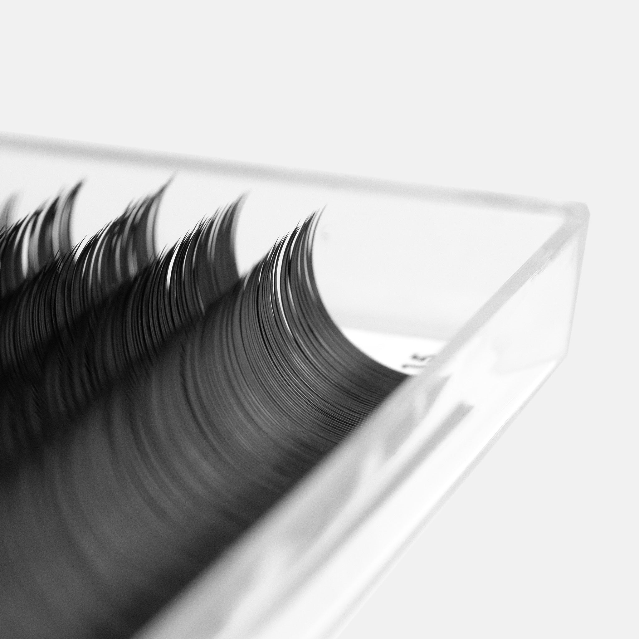 ALL LASHES