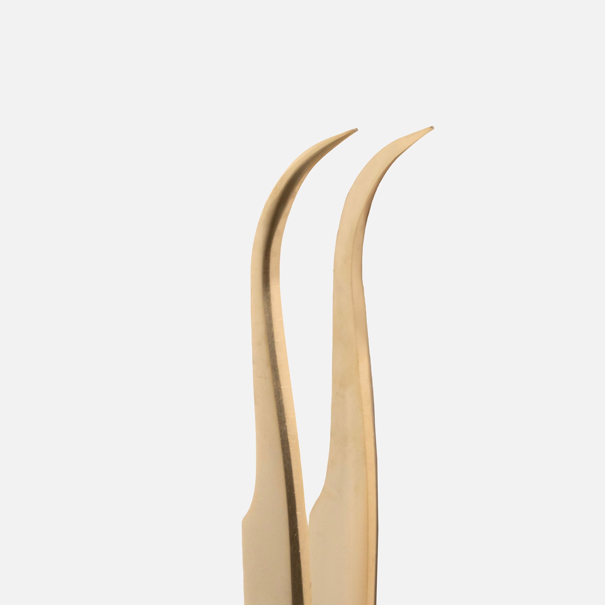 Tweezers OPTIMAL OM-06 | Strong Curve UNIVERSAL.