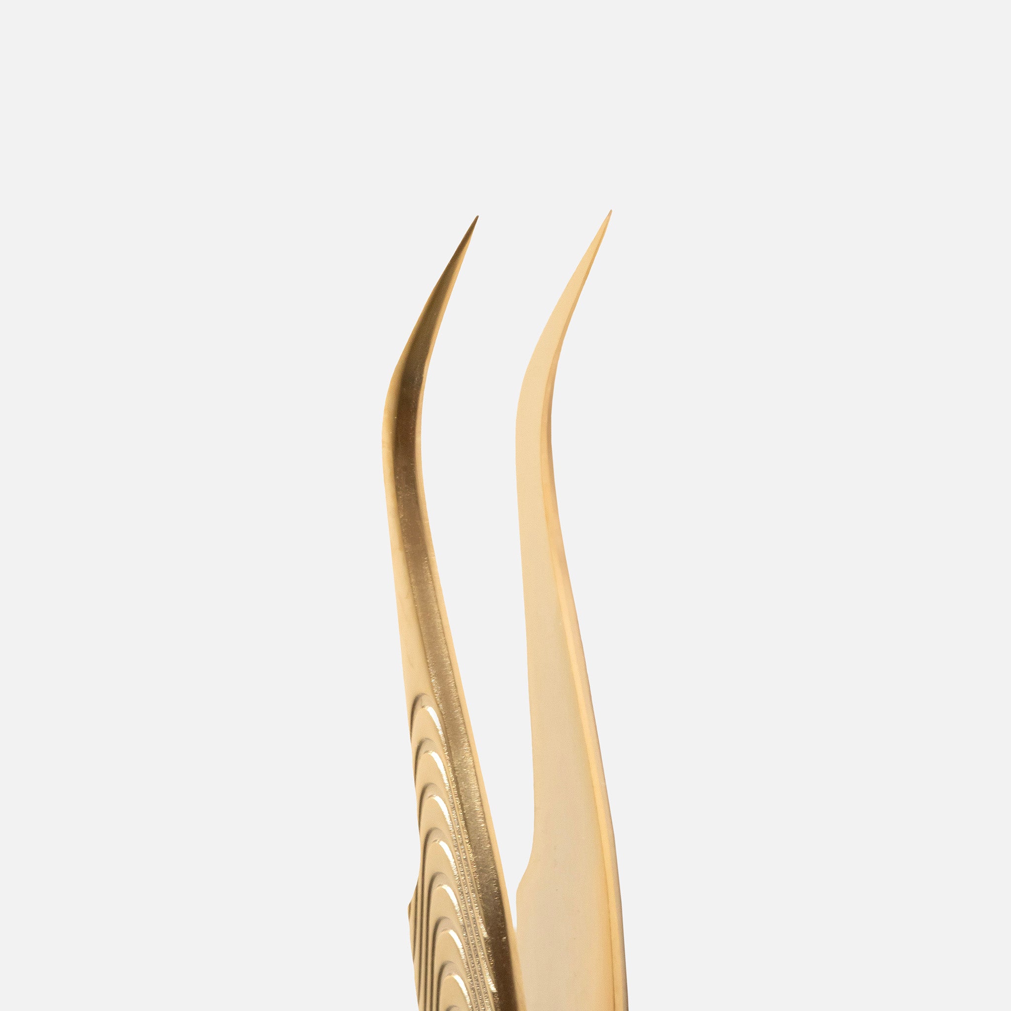 Tweezers ULTRA U-06 | Strong Curve UNIVERSAL.